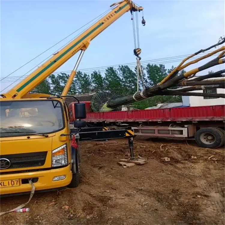 梁子湖100吨吊车租赁费用怎么算？3大关键因素+省钱技巧全解析